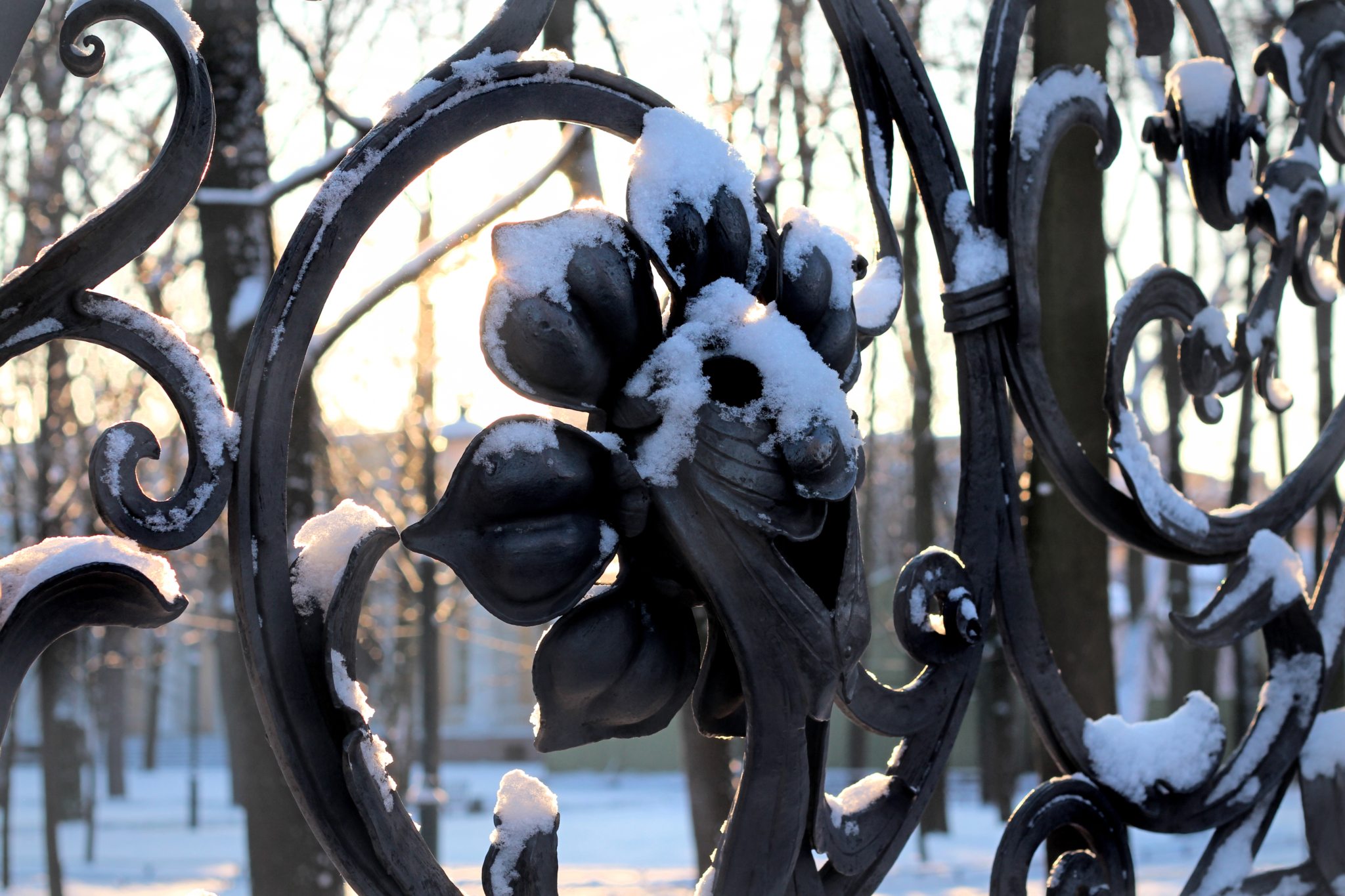 Решетка михайловского сада в санкт петербурге фото