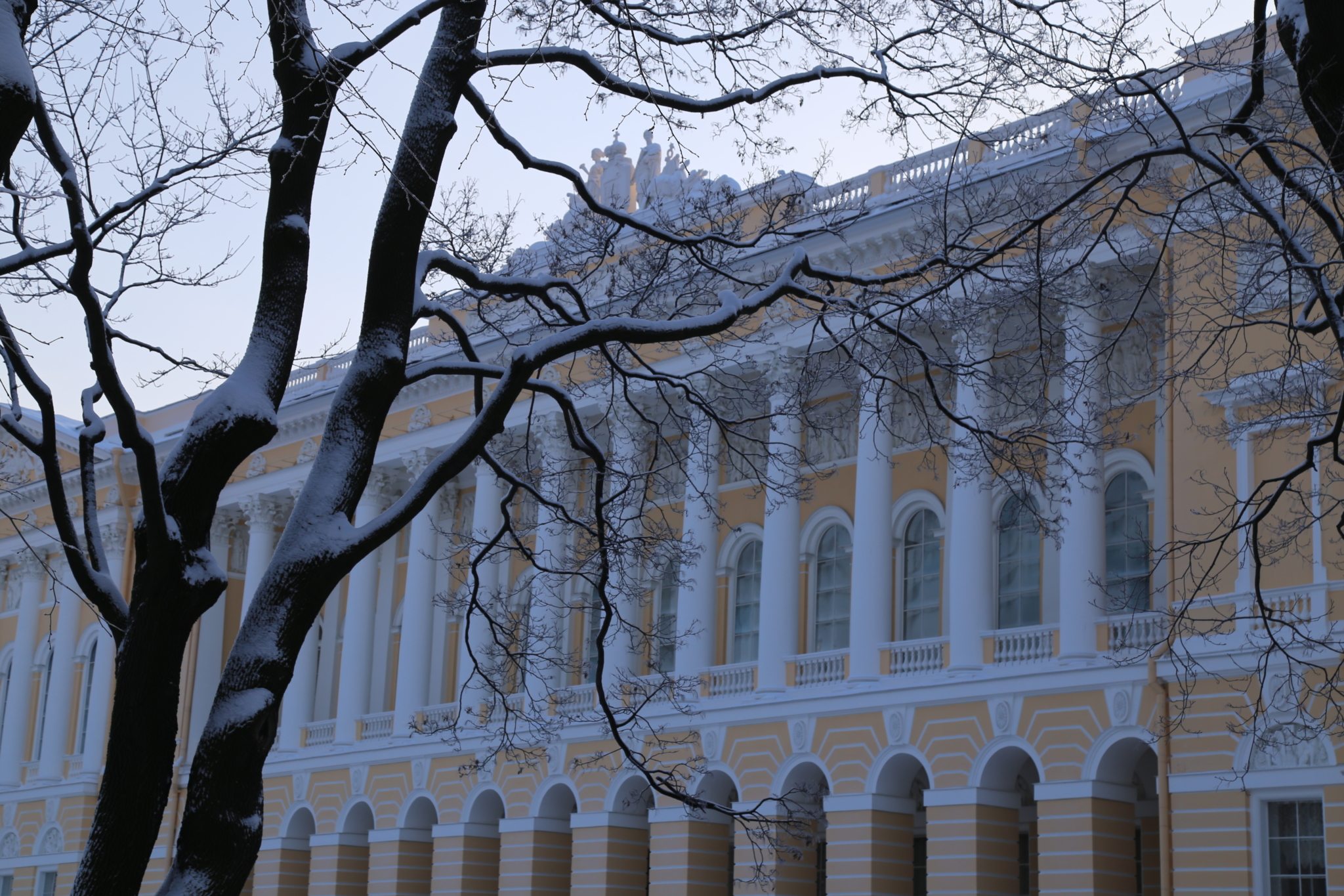 Михайловский. Сады русского музея. Дерево свободы в Михайловском саду. Михайловский сад концертный зал. Зимний сад гимназия 4.