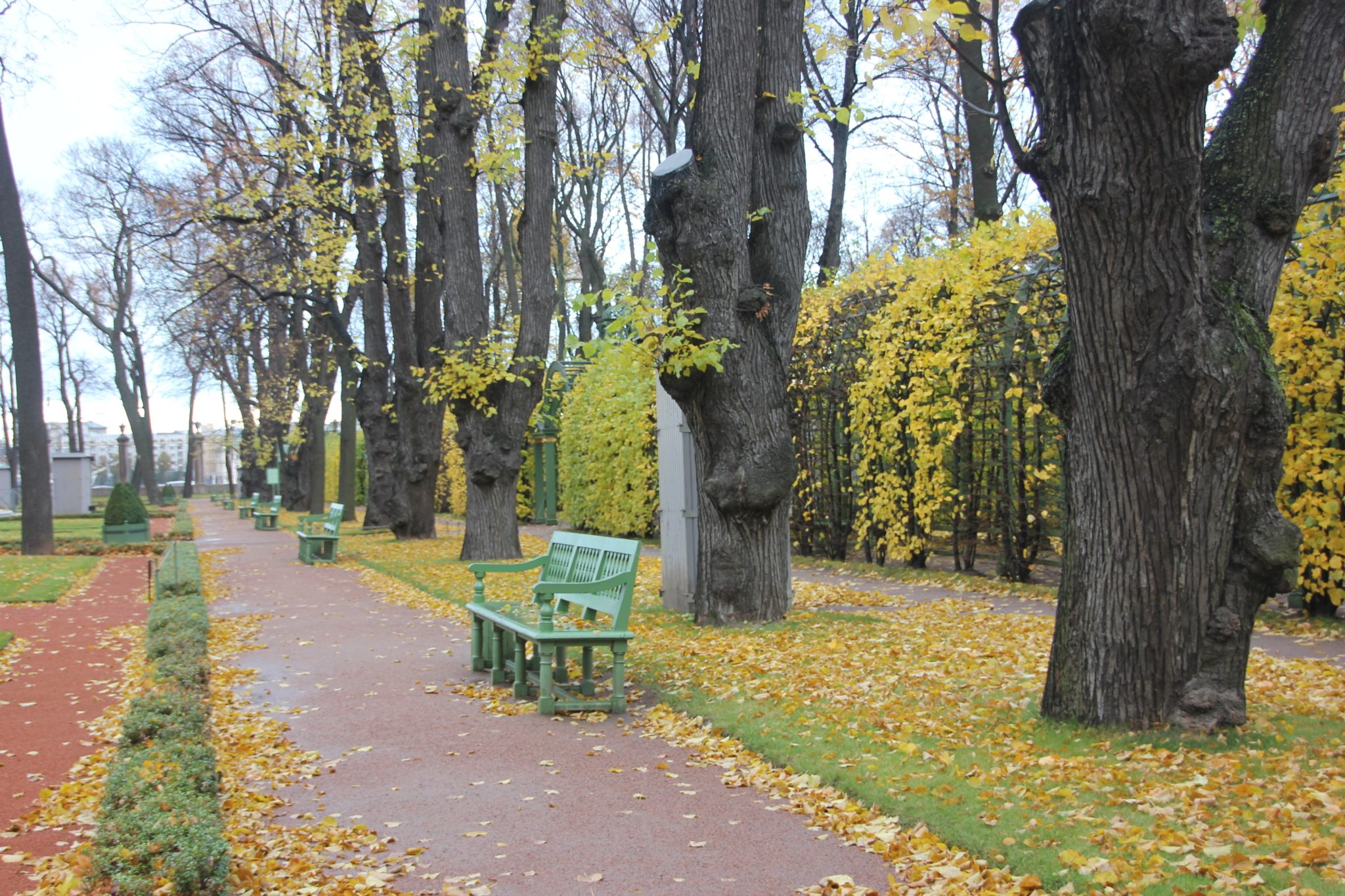 Некрасовский сад в санкт петербурге фото