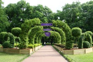Императорские сады - арки - Imperial gardens festival