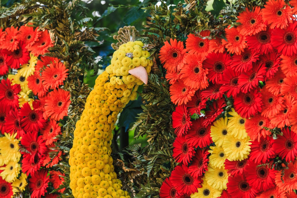 Цветочная композиция "Жар-птица" у кофейного домика. От Управления по садоводству и огородничеству.