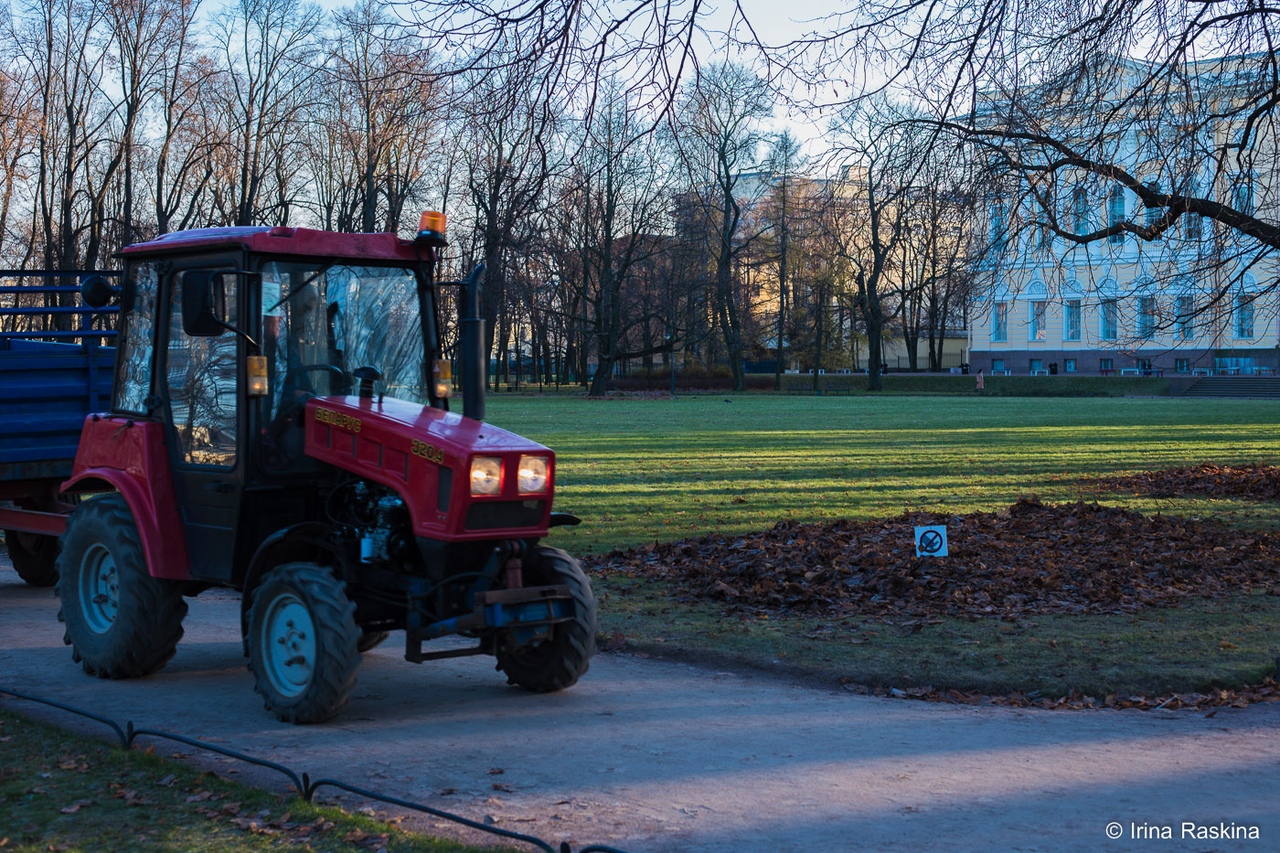 УБОРКА ЛИСТВЫ ЗА ИЛИ ПРОТИВ (4) | Gardens of Russian Museum