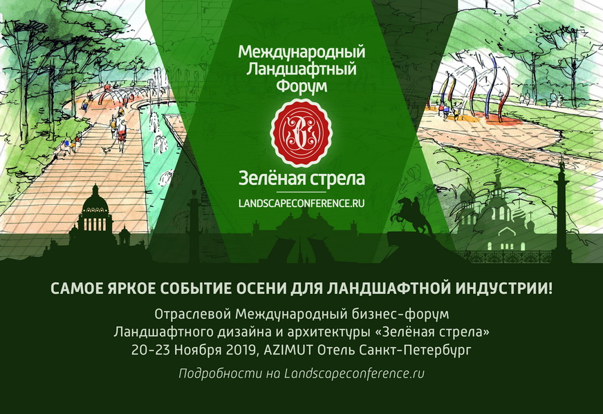 Зеленая стрела ландшафтный дизайн