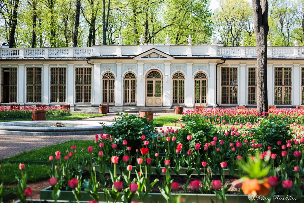 Презентация для дошкольников летний сад в спб