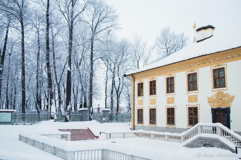 Спб михайловский сад фото