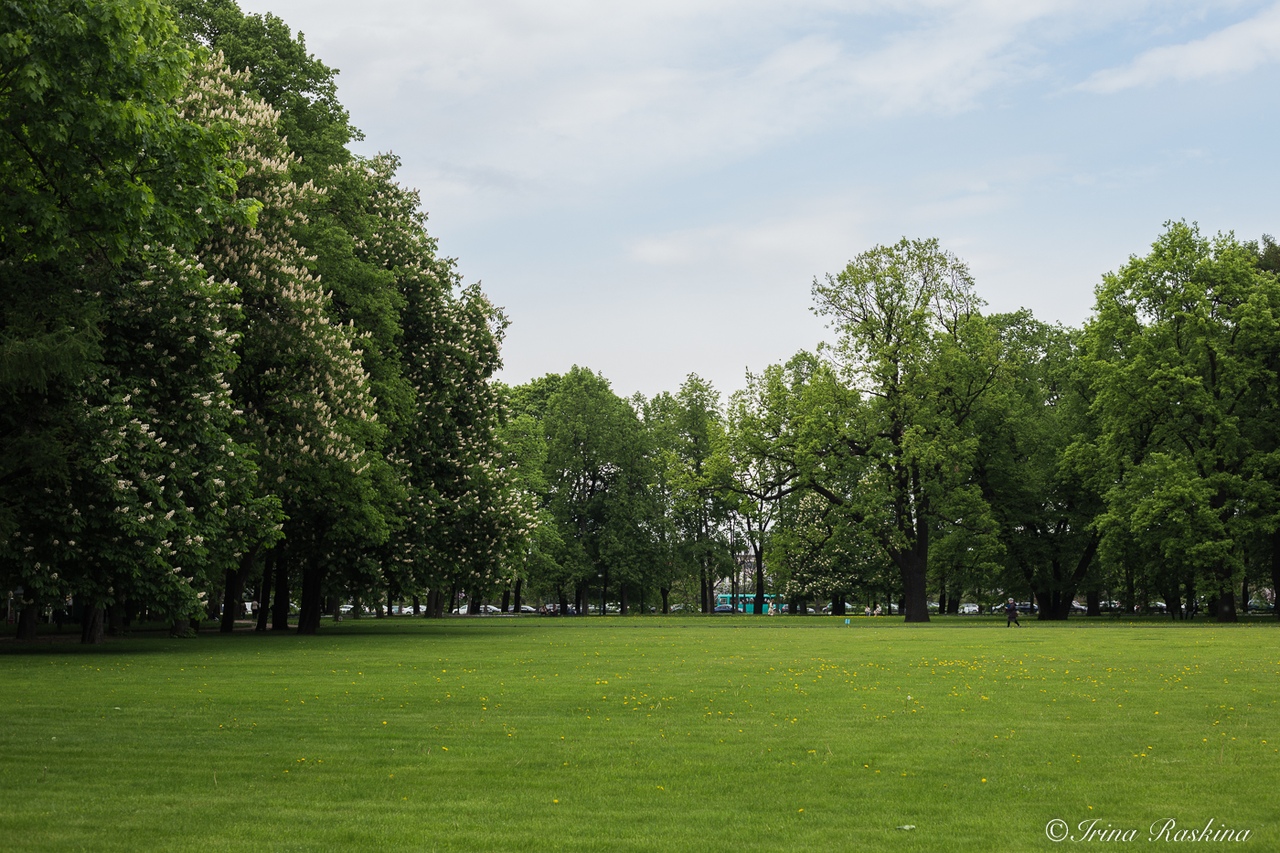 Garden на русский язык